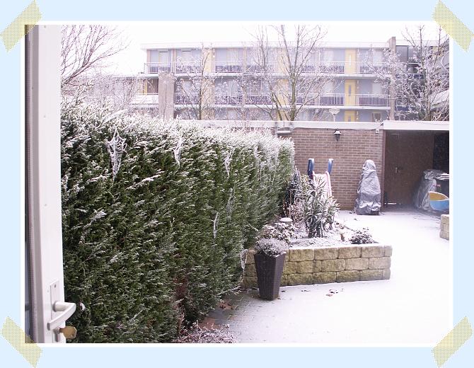 Volgende foto